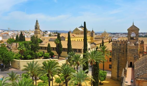 FT-Cordoba-2