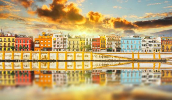 TRIANA-5