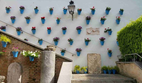 free-tour-patios-cordoba-ppe-2